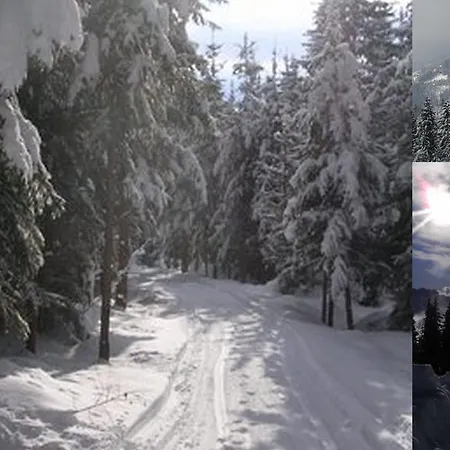 Bernsteiner Lejlighed Iselsberg