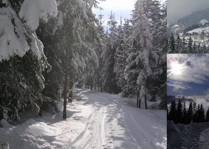 Bernsteiner דירה אייסלברג